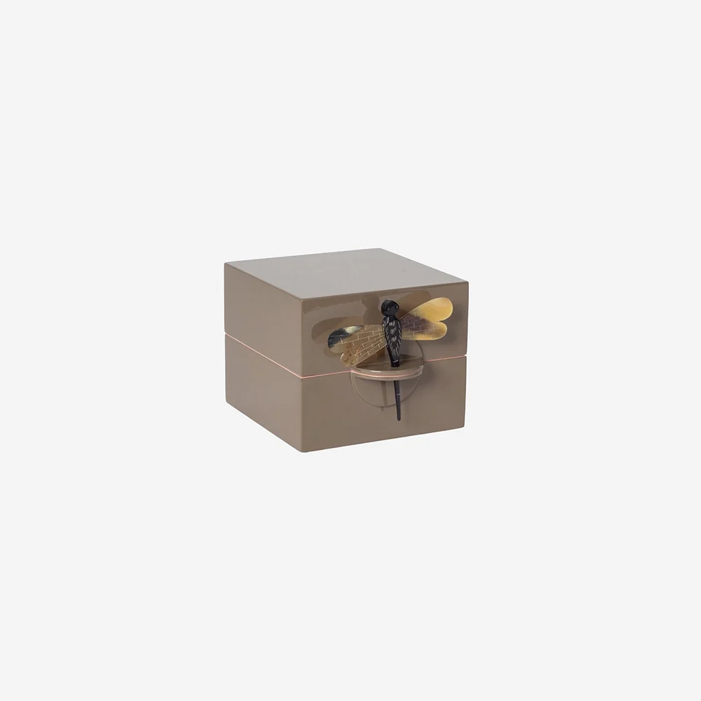 Box w Dragonfly S earth