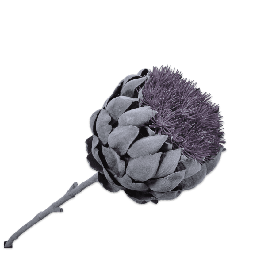 Distelzweig violett 69cm