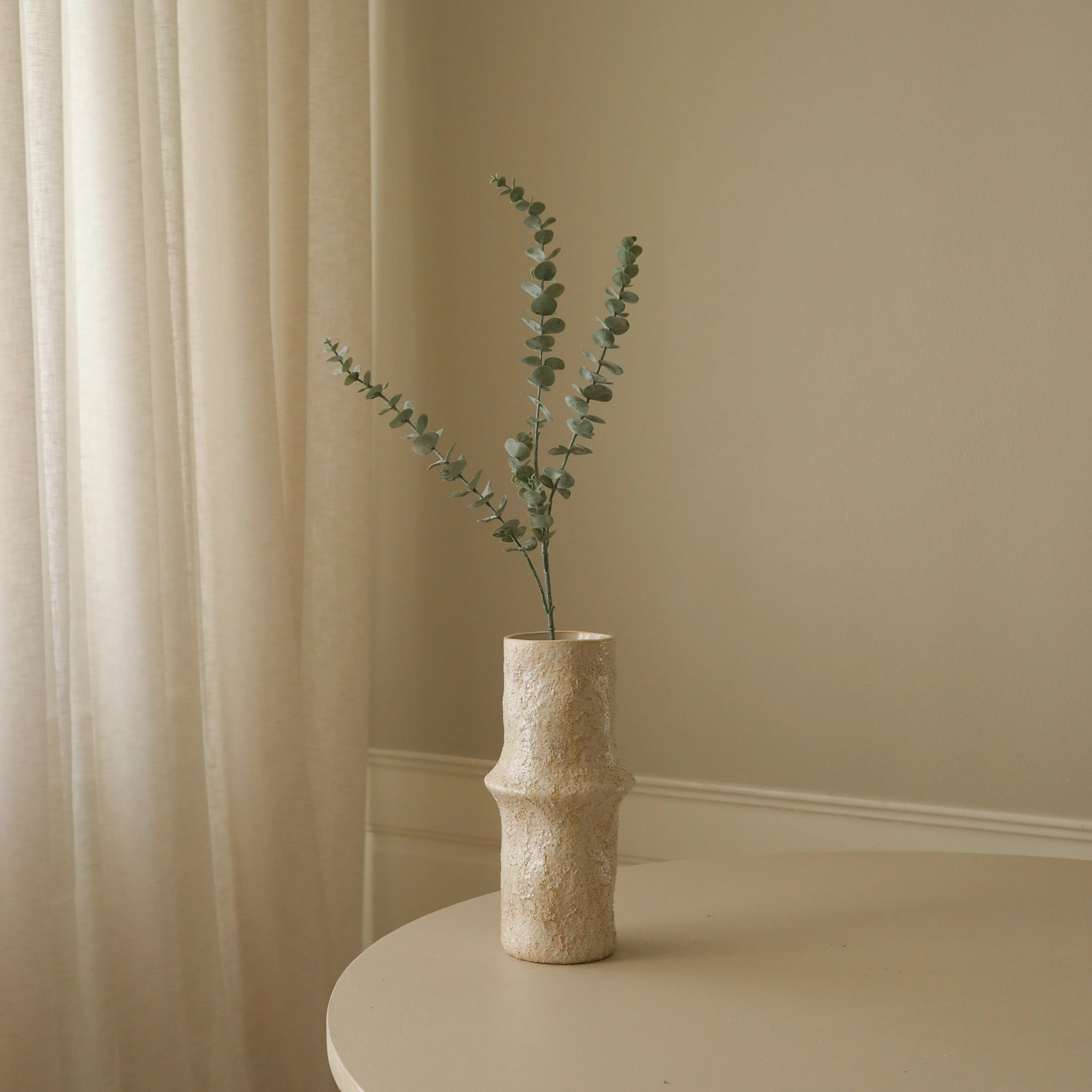 Green Eucalyptus Five Leaves