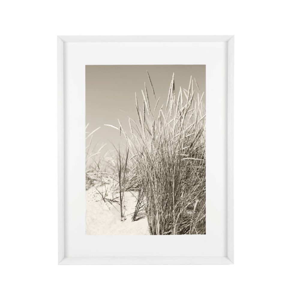 Bild Sand Dunes Sepia white