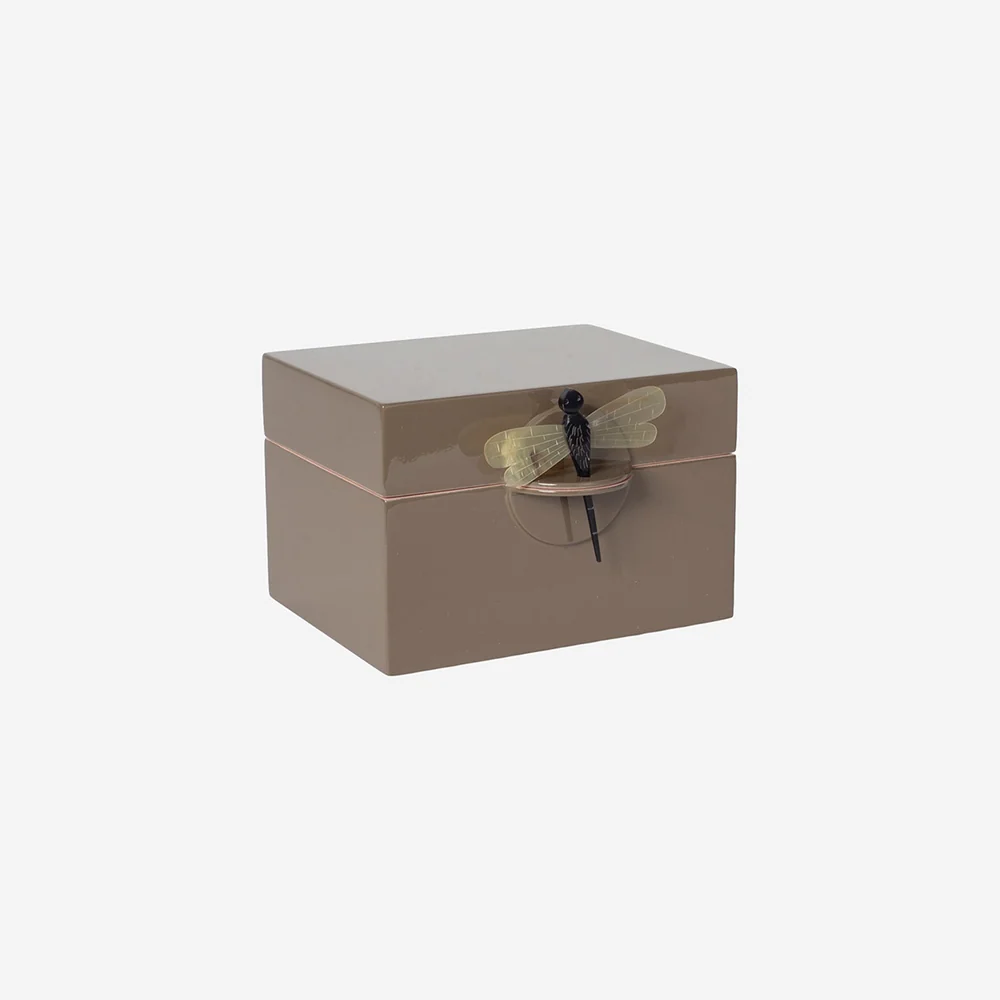 Box w Dragonfly B earth