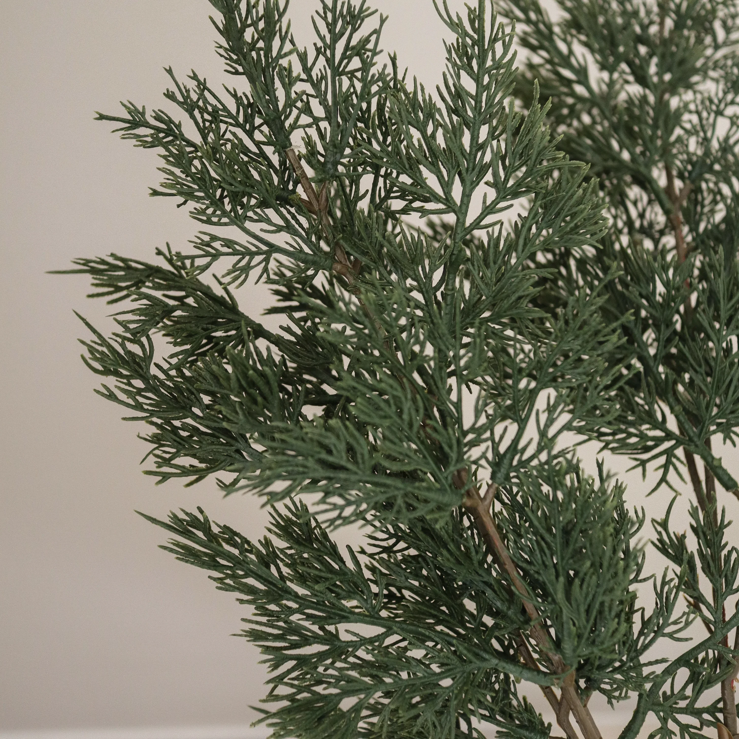 Green Cypress Branch H80