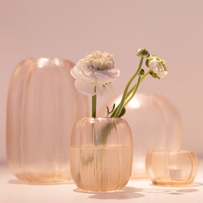 Tealight Lalibela D11/H7 rose