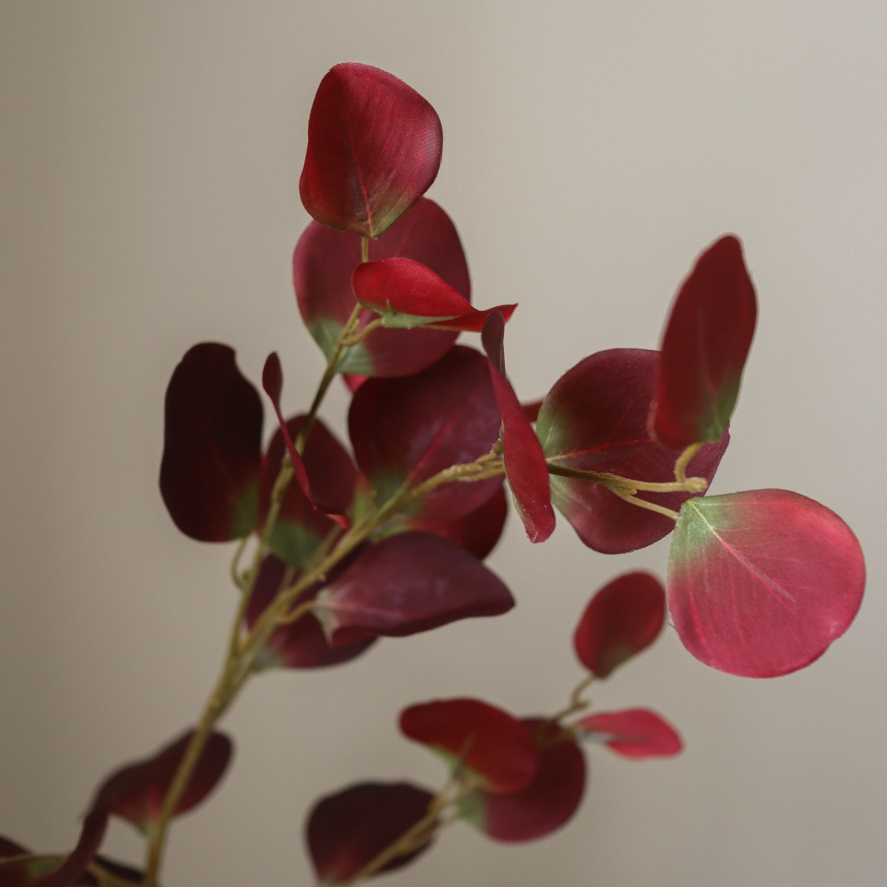 Burgundy Eucalyptus Branch