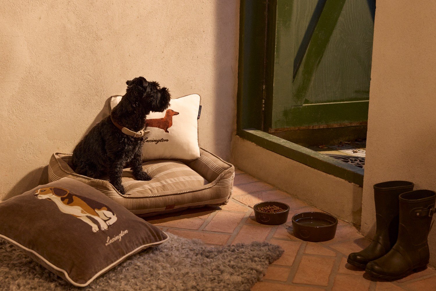 KB Dog Velvet 50x50 stone