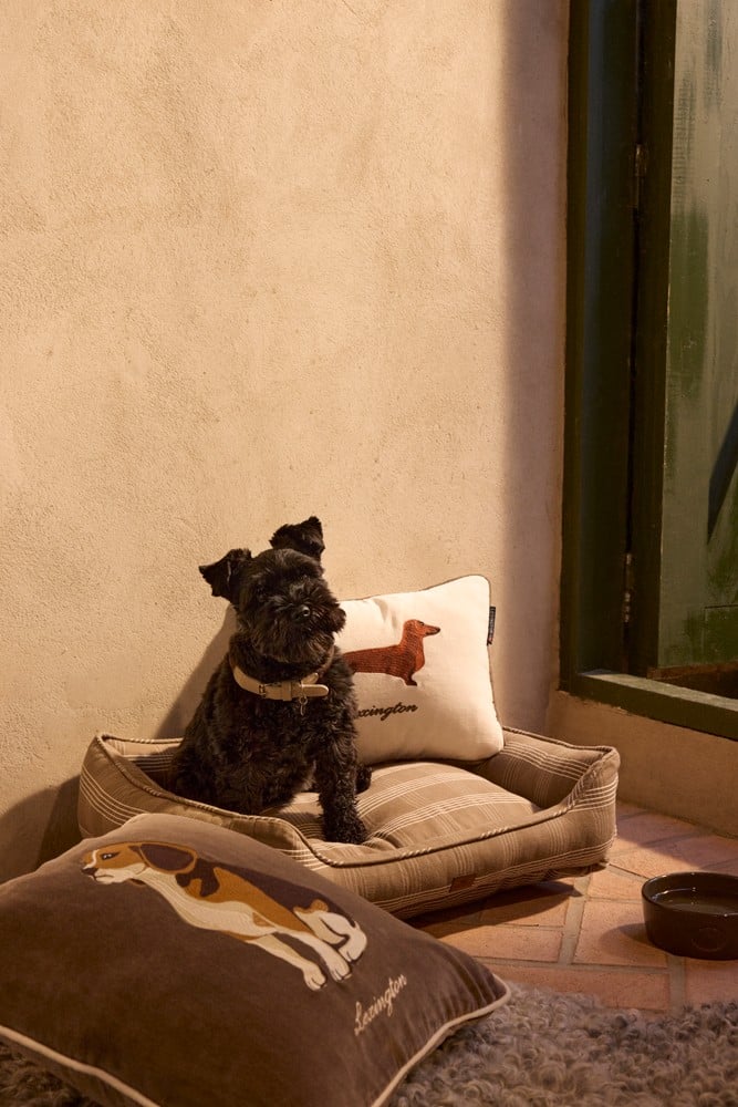 Kissen Dog Velvet 40x30 beige