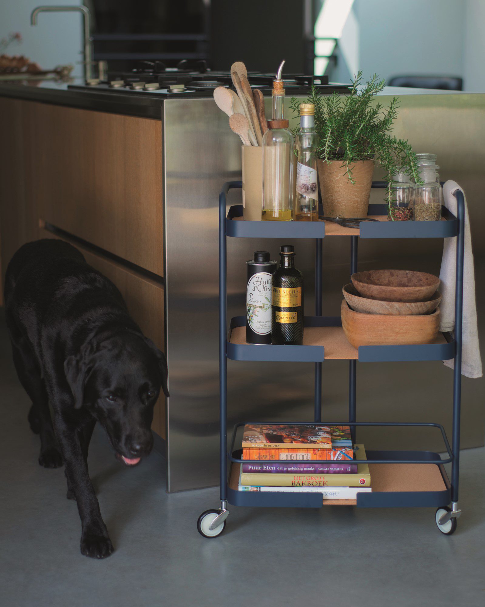 Trolley Square 49x29x68 Black