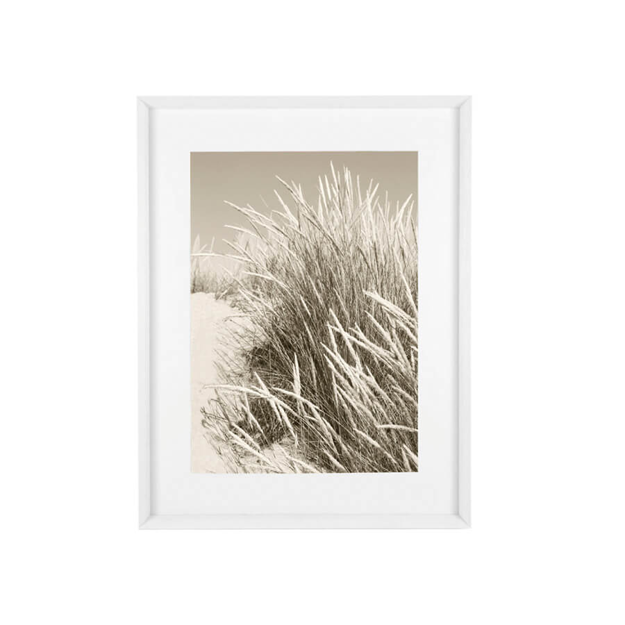 Bild Sand Dunes Sepia white