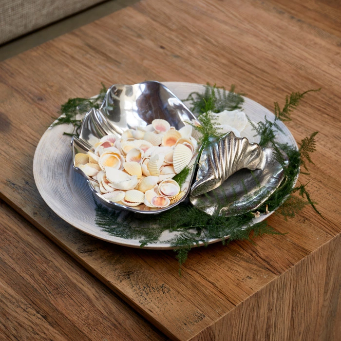 Ocean Shell Decoration