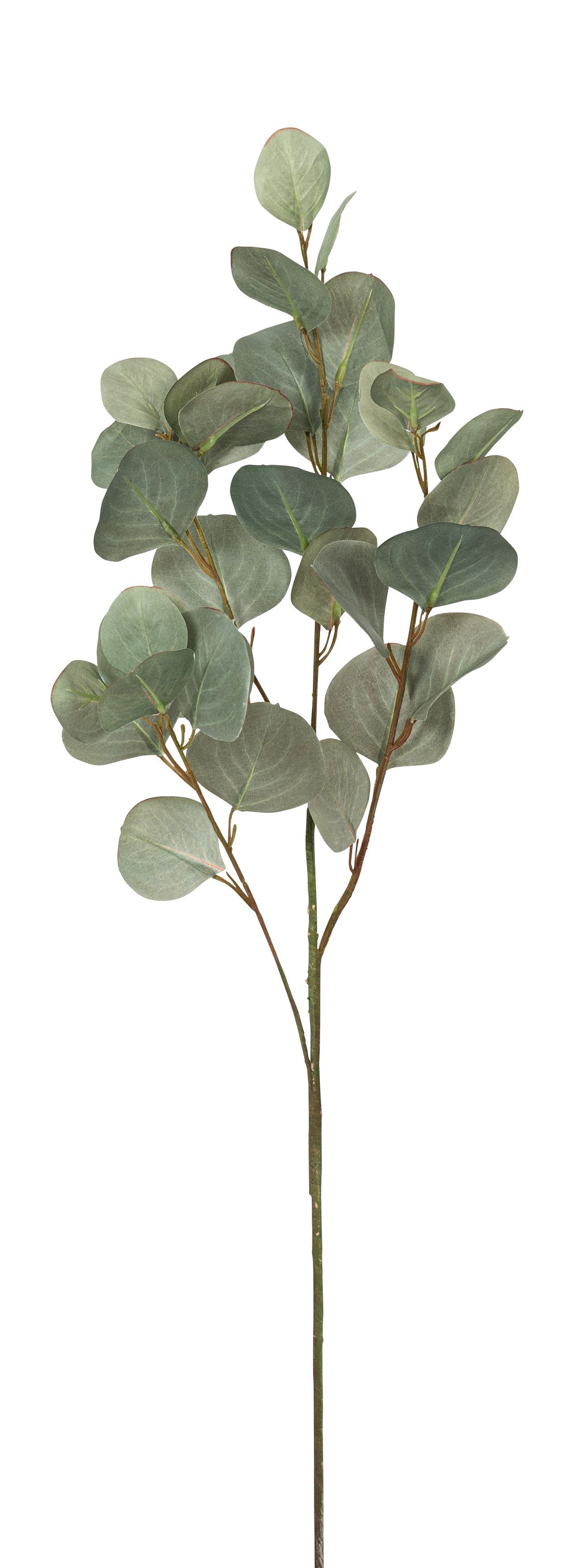 Eukalyptuszweig 87cm grün