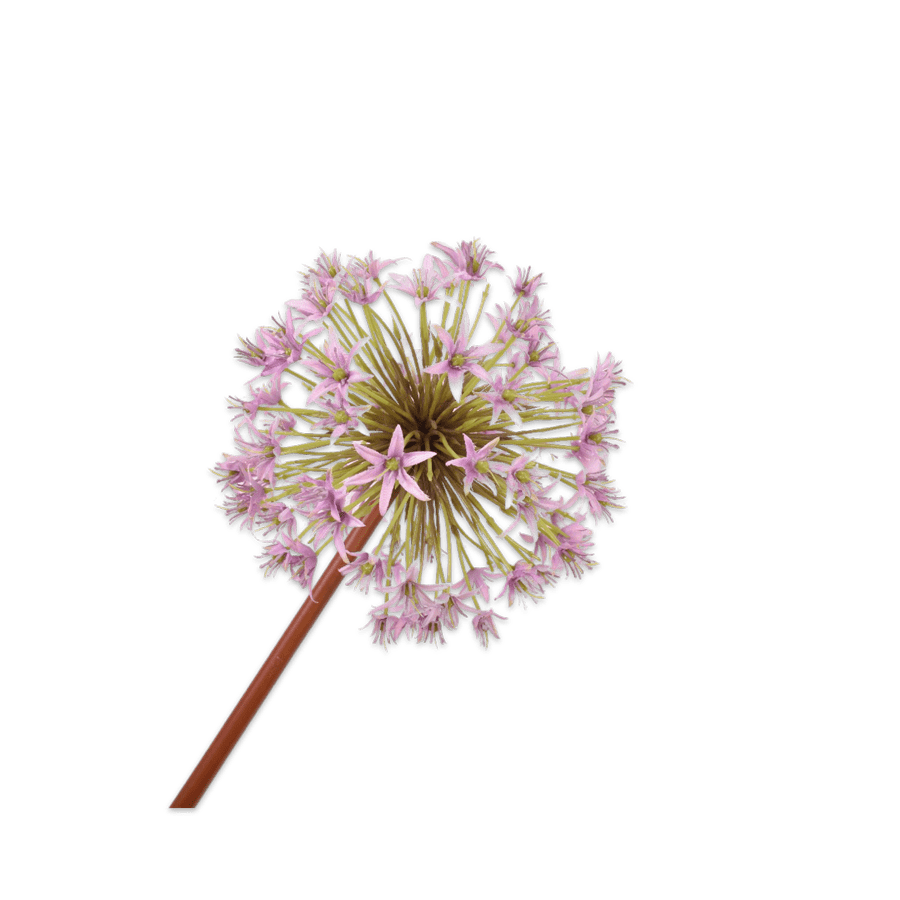 Allium Stem lilac 100cm