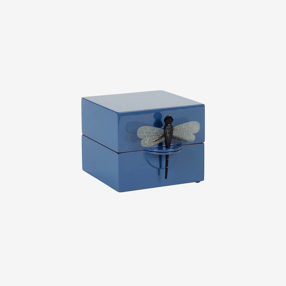 Box w Dragonfly S demin