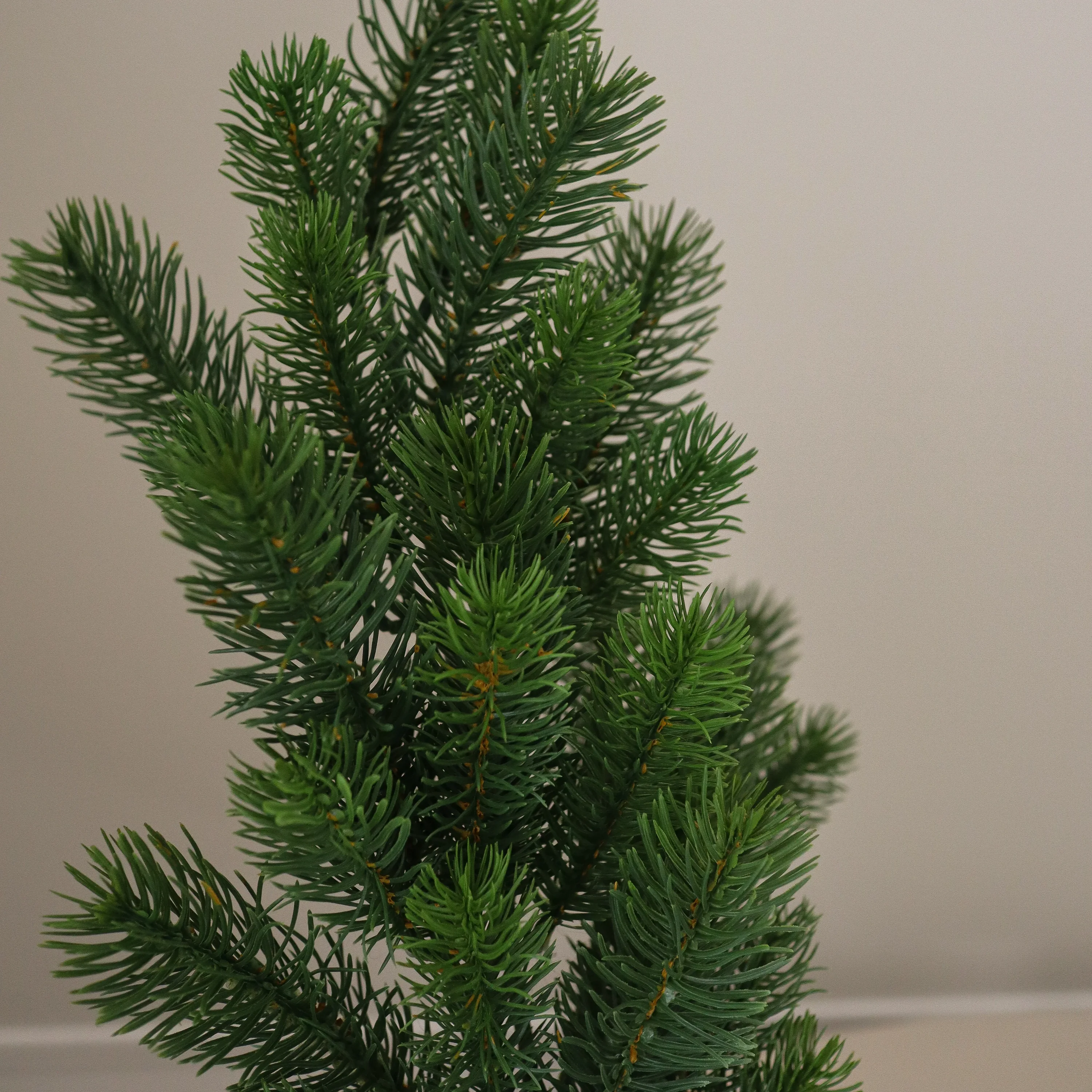 Green Pine Branch H65