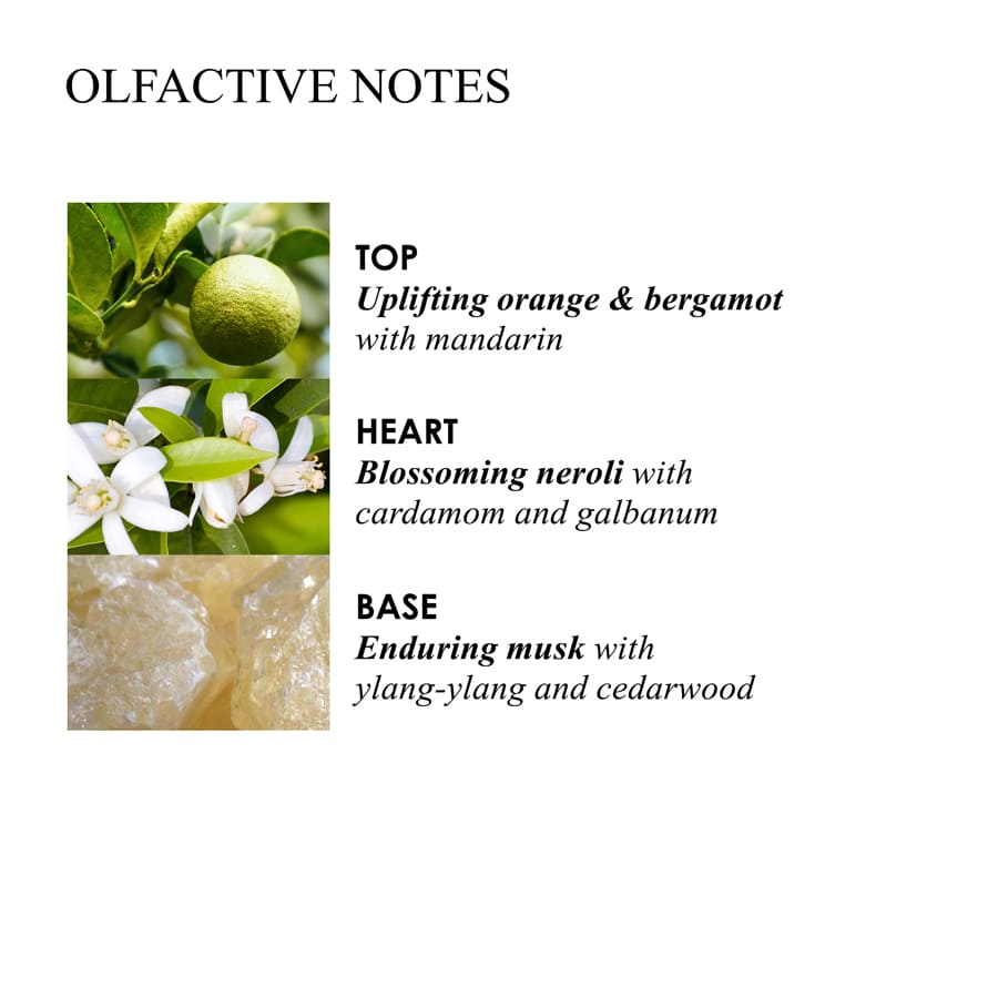 Hand Wash Orange&Bergamot