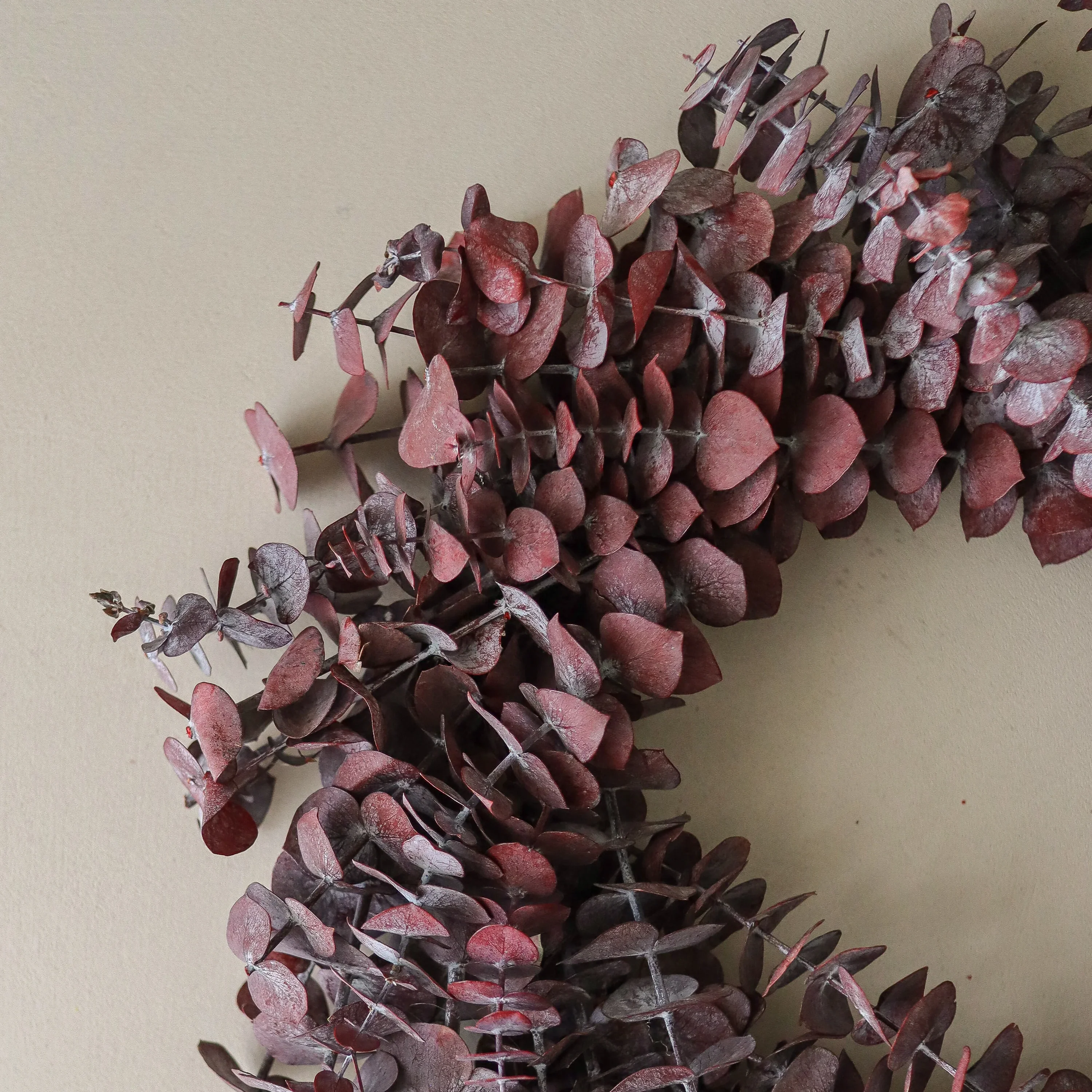 Dark Red Eucalyptus Wreath D40