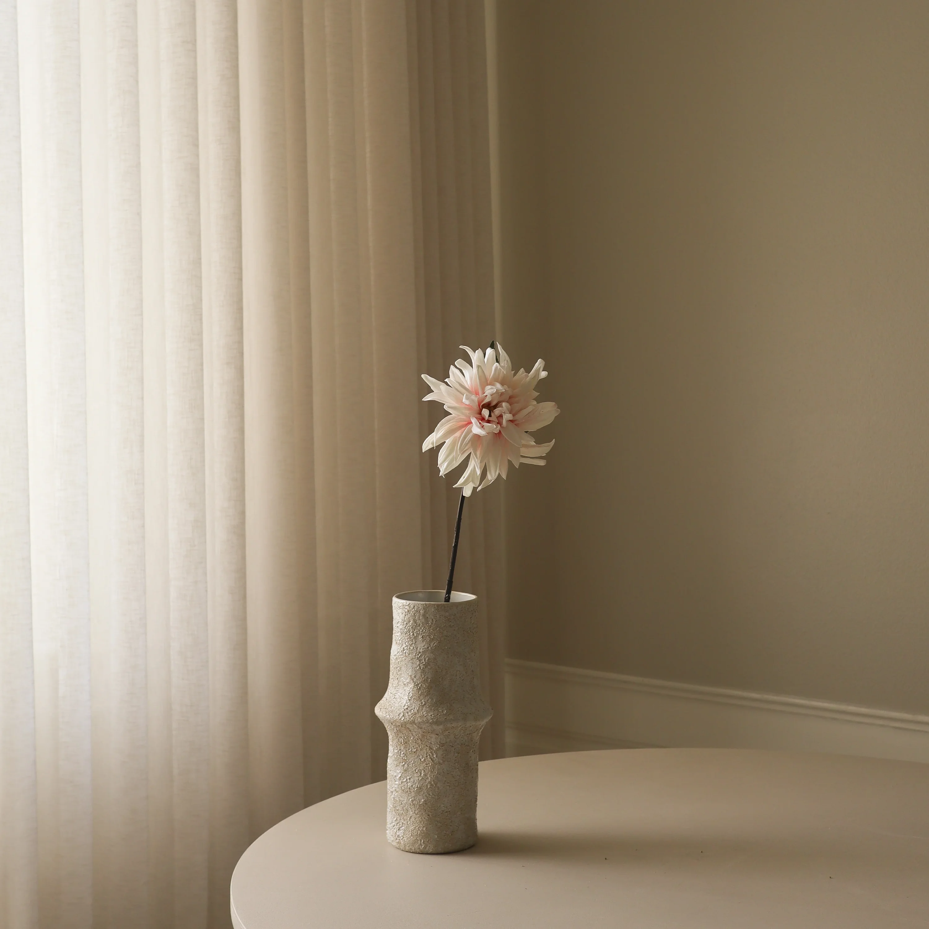 Light Pink Cactus Dahlia Flower