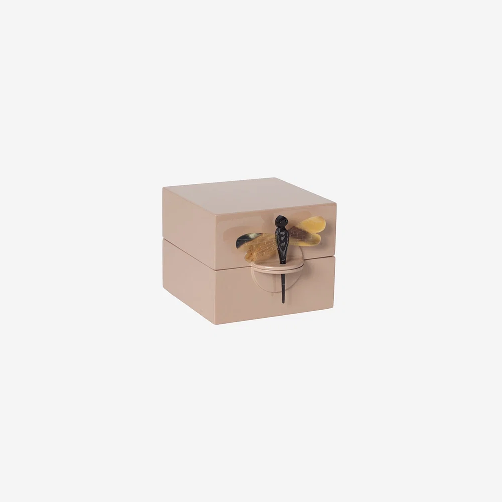Box w Drangonfly S skin