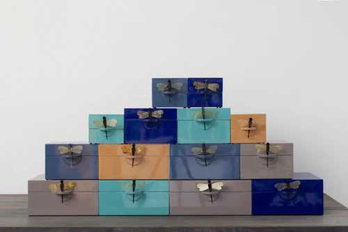 Box w Dragonfly B demin