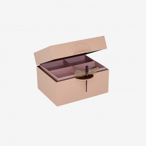 Box with dragonfly B sorbet