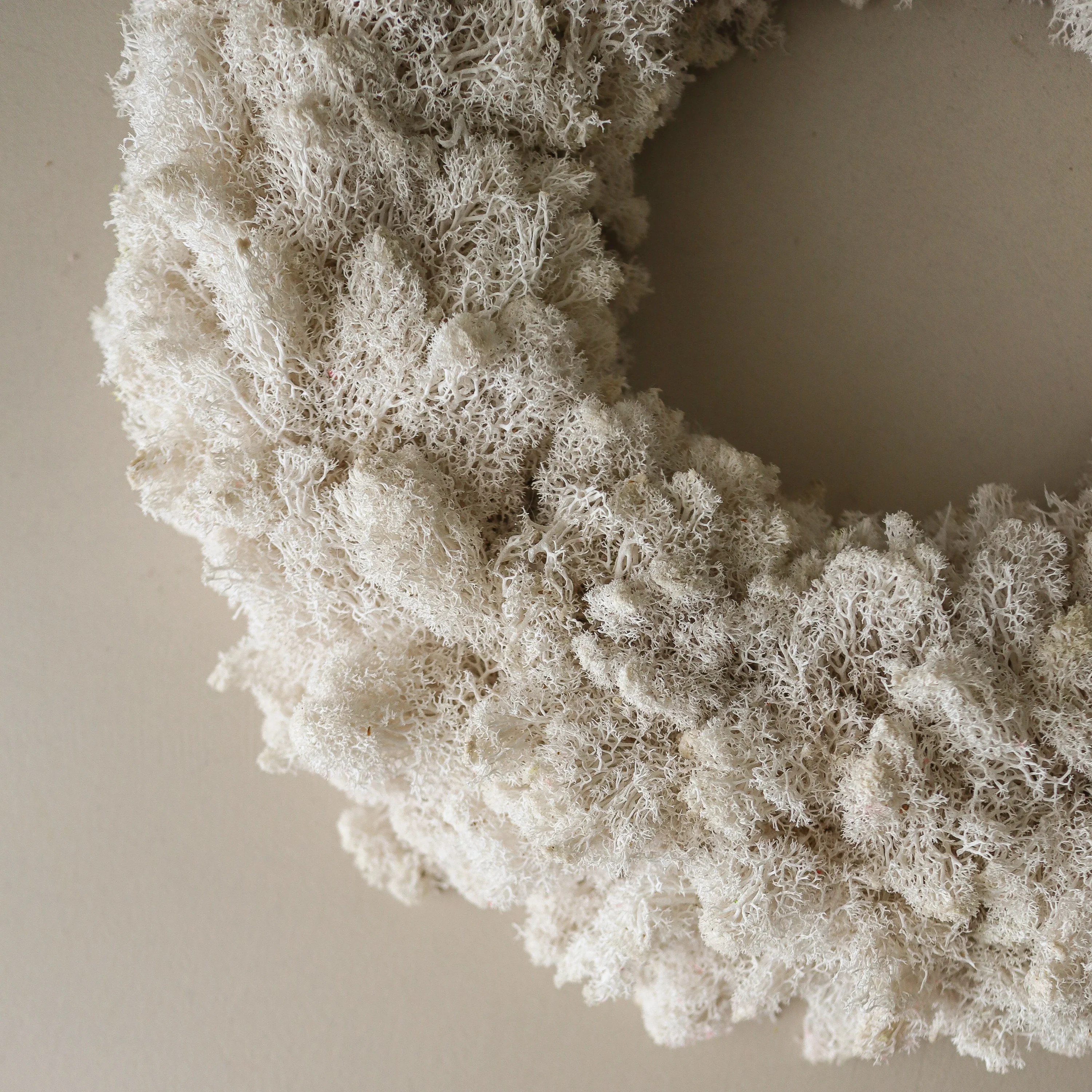 Ivory Moss Wreath D40 white