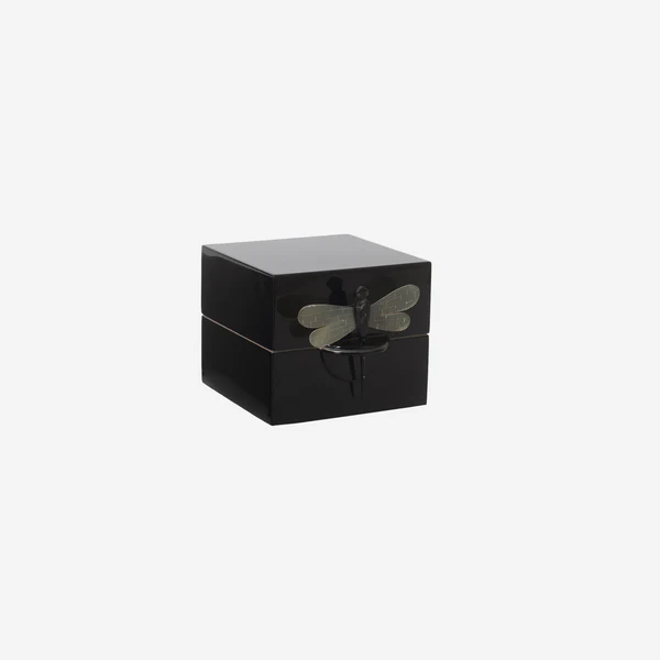 Box w Dragonfly S black